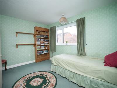 Picture 15